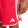 Picture of Stadium Mesh Shorts