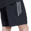 Picture of Lighweight Regular Fit Shorts