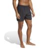 Picture of 5-Inch Swim Shorts