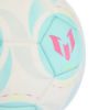 Picture of Messi Mini Ball