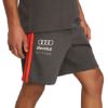 Picture of Audi Revolut Formula One Team DNA Shorts