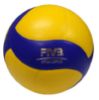 Picture of V333W School Volleyball