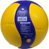 Picture of V333W School Volleyball