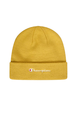 Picture of Script Logo Beanie Hat
