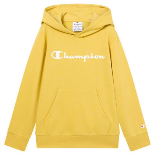 Picture of Boys Fleece Hoodie Sweatshirt Script Logo