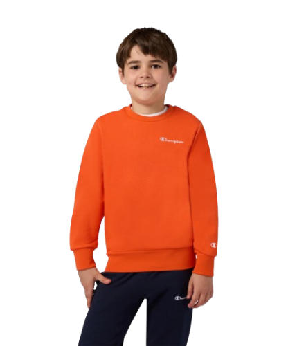 Picture of Boys Crew Neck Sweatshirt