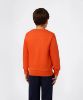 Picture of Boys Crew Neck Sweatshirt