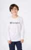Picture of Long Sleeve T-Shirt