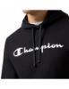 Picture of Hooded Sweatshirt