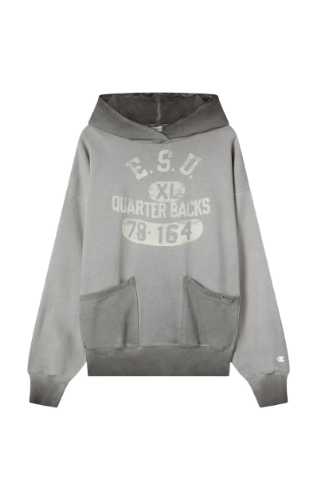 Picture of Hooded Sweatshirt