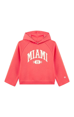 Picture of Fleece Hooded Sweatshirt