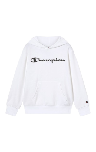 Picture of Boys Fleece Hoodie Sweatshirt Script Logo