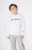 Picture of Boys Fleece Hoodie Sweatshirt Script Logo