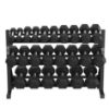 Picture of Platinum Hex Rubber Dumbbell Rack