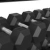 Picture of Platinum Hex Rubber Dumbbell Rack