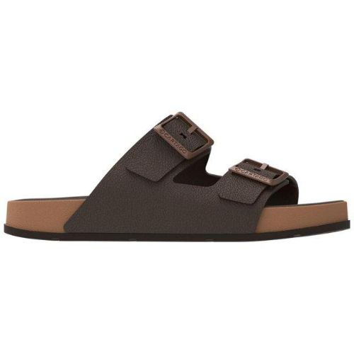 Picture of Milao Plus Slides