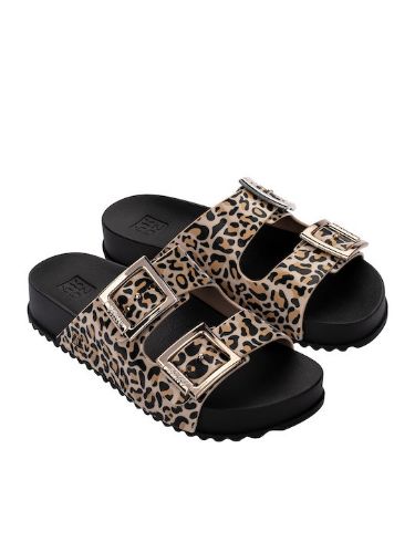 Picture of Partner New Slides