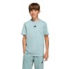 Picture of Boys adidas Slogan Single Jersey T-Shirt