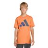 Picture of Kids Essentials T-Shirt