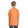 Picture of Kids Essentials T-Shirt