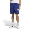 Picture of Kids Seasonals Collegiate Typography Shorts