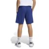 Picture of Kids Seasonals Collegiate Typography Shorts