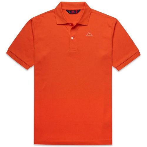 Picture of Aarau Polo Shirt