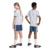 Picture of Kids Italy 26 Away Shorts