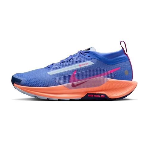 Picture of Pegasus Trail 5 GTX Shoes