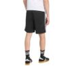 Picture of Firebird Shorts