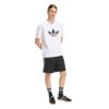 Picture of Firebird Shorts
