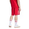 Picture of Sprinter Shorts