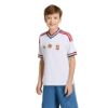 Picture of Kids Hungary 26 Away Jersey