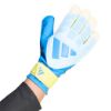 Picture of Predator Goalkeeper Glove Training