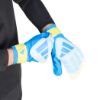 Picture of Predator Goalkeeper Glove Training