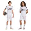 Picture of Kids Lamine Yamal Training Shorts