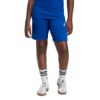 Picture of Logo Shorts