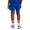 Picture of Logo Shorts