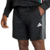 Picture of Workout Essentials All-Set Shorts