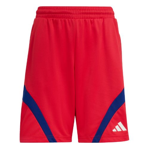 Picture of Kids House of Tiro Shorts