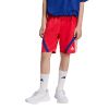 Picture of Kids House of Tiro Shorts