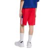 Picture of Kids House of Tiro Shorts