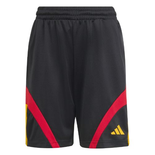 Picture of Kids House of Tiro Shorts