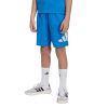 Picture of Kids Essentials Shorts