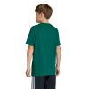 Picture of Kids T-Shirt