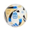 Picture of Argentina 25 Mini Ball