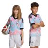 Picture of Kids Belgium 26 Away Jersey