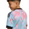 Picture of Kids Belgium 26 Away Jersey