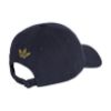 Picture of Argentina 26 Dad Cap