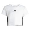 Picture of Little Girls Essentials T-Shirt Set